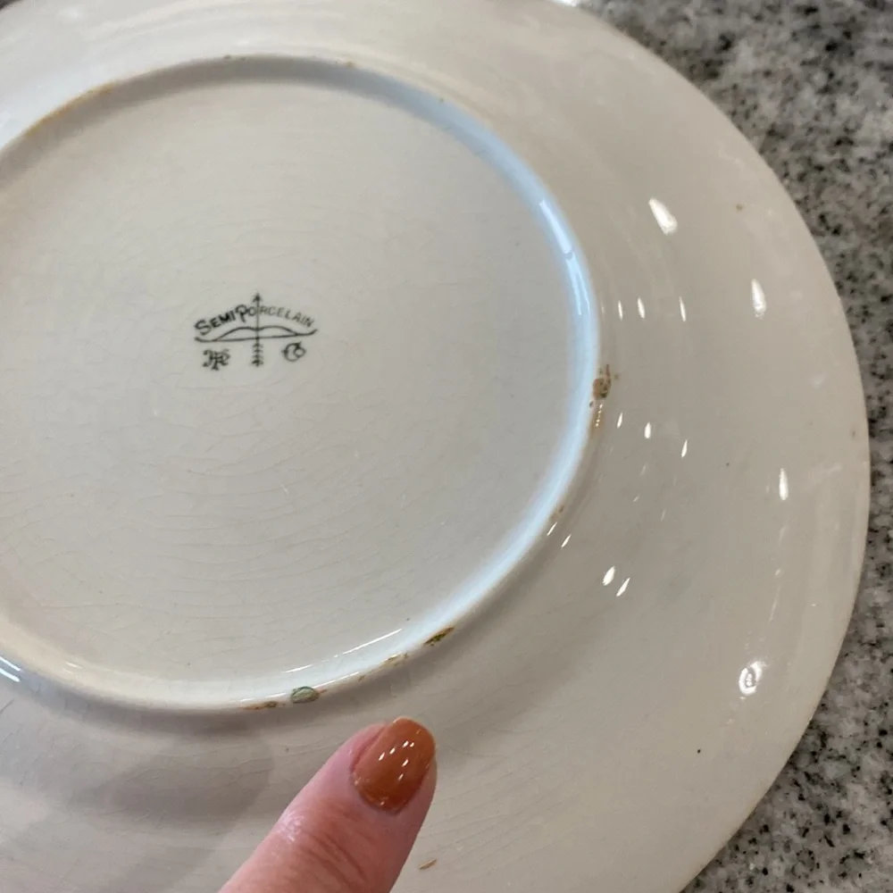 Antique Harker Pottery Co. Semi-Porcelain Wild Rose Plate c. 1890-1910!